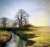 Wishing you a happy Boxing Day from Great Ayton, North Yorkshire