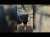 Recuerdos de Ibiza #FlashBackUnicoSobreviviente