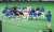 #札幌ドーム 最終戦の前に記念撮影 #lovefighters #19年間ありがとうございました