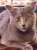 Rue's face as I dance to SexyBack  the ears LMAO  I dance/sing when I am cooking... I feel attacked by that face