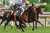 HERO IS COMING.  #武豊 #ドウデュース #キーファーズ #日本ダービー #日本ダービー2022