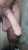 Where are arab dick lover Rate my dick Origin iraq  #horny #tribute #cumtribute #cockrates #cockrate #dickrates #dickrate #ass #nudes #freak #pussy #tits #boob #teen #sex #nsfw #nsfwtwt