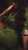 \ud83c\udfa5 \ud83e\udd0e@anups_