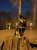夕散歩暖かいくらいの散歩日和さいたま市は春の感じです切り株狛犬座りでご挨拶お疲れ様でしたー#柴犬のいる暮らし #柴犬 #shibainu #黒柴 #柴犬のいる幸せ #柴犬を崇めよ #グルメ #絶景 #幻想 #別所沼公園