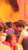 Vibrant hues..... Wishing you a very happy Holi!  #trending #viralvideos #viralreels #reeitfeelit #reelinstagram #reelkarofeelkaro #instagood #tbt  #monument #pic #picoftheday #1m #explore #explorepage