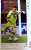 #南雄太　選手 #藤本主税　ヘッドコーチ #高橋泰　コーチ