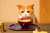 もう食べていいかにゃ&hellip;？  #大晦日 #年越しそば #にゃらん #じゃらん