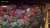 Officials in Seoul said that at least 120 people were dead and 100 others were injured after a stampede in the South Korean capital's popular Itaewon district, where crowds had gathered to celebrate Halloween.  views