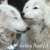 From our family to yours, Happy #Thanksgiving.