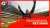'It's a MASSIVE coup for the county board'   He's back! With Jim McGuinness returning to the helm of Donegal, will the Forgotten County see a rise to form?   Catch the full pod   @AIB_GAA | #TheToughest  Become a member at