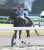 【根岸Ｓ】ギルデッドミラー前走の再現ならず２着　三浦「勝ち切れずに申し訳ありません」(サンケイスポーツ) 根岸の調整はお釣り残し。距離が伸びるフェブラリーにどれだけ渾身の仕上げを松永幹厩舎が施せるか。 後は、鞍上の技に期待。 #ギルデッドミラー