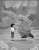 G&uuml;ney Koreli bir ressam ge&ccedil;mişle bug&uuml;n&uuml; &ccedil;izmiş kardeşliğimiz daim olsun...  &Uuml;mit &Ouml;zdağ deprem depremde Depremin 5 1 Milyar Yağma ahbap AhbapDernegi istifa Şeytan Hayırdır Tarkan 1 ETH Enkazdan Katar d&ouml;rtyol