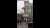 В Краснодаре 12 февраля отметили 80-летие освобождения города от немецко-фашистских захватчиков.    #Кубань #КраснодарскийКрай #KRD #Краснодар