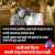 Rubbing salt to wounds of farmers is-  World Best CM doing Maggie 2 minute visits to villages after Cyclone Tauktae  sh00ting fleeing Pune farmers on their BACK  But what better can one expect from ILLEGITIMATE MVA Sarkar formed by backstabbing manda