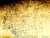 ながい ゆめ の はなし  #創作イラスト #花 #鳥  #猫 #亀 #うさぎ #水 #光 #包丁 #リボン #夢 #アナログ絵 #イラスト好きな人と繋がりたい #イラスト #illustration #art #アート #イラスト王国 #絵描きさんと繋がりたい #アート好きな人と繋がりたい #芸術同盟 #美術ネットワーク #PortfolioDay