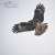 Black kite fishing & drying  #IndiAves #birdphotography #birding #BirdsSeenIn2023 #BBCWildlifePOTD #birdwatching  #BirdsPhotography #ThePhotoHour #NaturePhotography #natgeowild #wildlifephotography #TwitterNatureCommunity #birds #ThePhotoMode #Bi