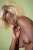 #Shootingphoto #Model #Modele #Modeleamateur #Modelefinistere #Modele29 #Modelebretagne #ModeleBretonne #ShootingFinistere #PortraitBretagne #Frenchmodel #Photographe #Photography #Canon #EOS #ePHOTOzine #Elinchrom #Rotalux #Quimper #Finist&egrave;re