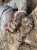 Torn-out nails. Tied hands. Another grave of 2 civilians was found in the village of Kalynivka, Kyiv region. How many such crimes are in the occupied territories right now?  \ud83c\uddf7\ud83c\uddfa chose the path of terror of the civilian population