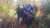 Wairima, Othaya ACK Clergy, faithful and Rigathi Gachagua escape the church through bushes. What even is this government, though? This is not politics, leave the church alone.