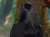 Quinn quando ha scoperto che Eric non voleva pi&ugrave; divorziare  #twittamibeautiful
