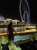 I wanted freedom, Open air and adventure. Finally I found it on the sea    #instagood #cruise #dinnerclub #dubai #dubailife