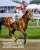 Good luck to #Preakness150 champion, Journalism in today's Haskell Stakes!