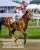 Good luck to #Preakness150 champion, Journalism in today's Haskell Stakes!
