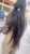 #مشاهير_تيك_توك #foryoupage\u2764\ufe0f\u2764\ufe0f #الشعب_الصيني_ماله_حل\ud83d\ude02\ud83d\ude02 #روتيني #فوريو #فوريو_العرب #hbibatiiiiyy_\ud83d\udd25\ud83d\udc8b\u2764\ufe0f #xplore #fypシ #حركة_اكسبلورر\ud83d\ude4f\ud83d\ude4f\ud83d\ude4f #habibi