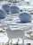The Arctic hare can run up to 60 kilometres per hour, but it's when it's sitting that we like it more   [read more: