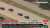 На одном из этих фото Дональд Трамп направляется в Нью-Йорк принимать капитуляцию Байдена