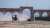 Only Bulls and Horses