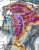 MAJOR TORNADO OUtBREAK appears likely tomorrow with extreme low-level wind shear parameters and supercellular storm mode expected. Greatest tornado threat will be from central KY/TN through northern AL/GA. Stay tuned to watches and warnings tomorrow