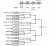 レノファ、初戦の水戸に勝てば&hellip; みらスタで川崎フロンターレと (同カテゴリなら上の山のクラブがホーム、異カテゴリなら下のカテゴリのクラブがホーム) #天皇杯2023