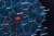Thanks to New Twitter I can share #truth about Kari Lake&rsquo;s stolen election and #COVID19. The #BidenCrimeFamily is trying to start WWIII to distract from the #DoD #Fauci #EcoHealth building of SARS-COV-2&hellip; but why change all #vaccines to m