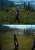 People acting surprised by the fact that Forspoken suffered a major downgrade, when it was so obvious it would happen. The game uses the same engine as FFXV and it's being made by basically the same studio, and FFXV also suffered a monster of a downg