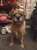 Happy Christmas to my pals far and wide, I love you all so very much #BTPosse #ilovemypals #MerryChristmas #MerryXMas