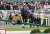 #阪神牝馬ステークス  放馬した秋華賞と同じ阪神で重賞を勝つ 放馬マスターサウンドビバーチェ