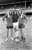 Singer #DavidEssex with Hammers #BillyBonds and #FrankLampard April 1975 #WHU @WestHam