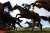 Animal Rising  activists plan to scale the fences and enter the track of Aintree  Racecourse before the Grand National race begins on Saturday.   The  climate and animal rights group said up to 300 activists will attend the  venue from 9.30am where t
