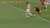 Penalti   No sancionado por el arbitro a favor de Croacia; para el VAR Bascu&ntilde;an tampoco lo vio sancionable. En mi apreciaci&oacute;n hay falta de atenci&oacute;n del defensor y derriba de manera imprudente al delantero Croata y es penal.