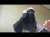 اجي وتسمعي البنات بغيت نتزوج وزوجي قرات في عيني بحاله خاطفه شي امام ديال الجامع حاشا وتسمعوا اش طار