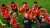 ما سبب إلغاء تدريب منتخب مصر قبل لقاء الأرجنتين؟ (فيديو)