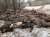 Главарь петушинных войск Пригожин, снова завел шарманку о недостатке боеприпасов, но на этот раз давит на жалость  Он опубликовал фото с трупами 'вагнеровцев' и заявил, что без снарядного голода мертвых лаптей было бы в 5 раз меньше.