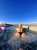 My office today. #desertvibes