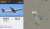 恐らくサウジカップTEAMJAPANの帰国組  ソングライン レシステンシア エヒト シルヴァーソニック エコロアレス フロムダスク ジャスティン リュウノユキナ カフェファラオ  が乗っていると思われる便(カタールカーゴ QR8840)が、リヤド/キング・ハーリド国際空港を出発