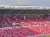 ご来場ありがとうございました  #ヨドコウ桜スタジアム  #セレッソ大阪  #Jリーグ