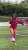 Will you like playing football with me?\ud83d\udc95\ud83d\udc96 . . . #singlemom&nbsp;#singlemum&nbsp;#singlelife&nbsp;#sheinbikini&nbsp;#shein&nbsp;#sexy&nbsp;#modeling&nbsp;#bikini&nbsp;#bikinigirl&nbsp;#curvy&nbsp;#curvywoman&nbsp;#smile&nbsp;#sel