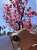 と  #SBGH269 #グランドセイコー