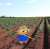 $PEPE2 airdrop is live now!  CLAIM Now:    $PEPE #PEPE2 #PEPE20 #pepecoin PEPE 2.0 memecoins #crypto #ETH #Binance #Arbitrum $ARB  #ETH #FOMC #Crypto #SUI #NFTs #Bitcoin #airdrop #Ethereum