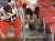 The Cleveland #Browns are 2-0 when wild animals are in First Energy Stadium